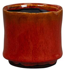 Ter Steege Obal Nolan red D7 H7