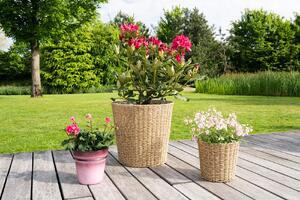 Ter Steege Obal Zora natural D35 H33