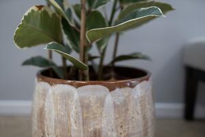 Ter Steege Obal Suus latte D33 H28