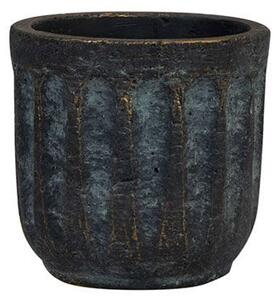 Ter Steege Obal Duncan blue gold D8 H7