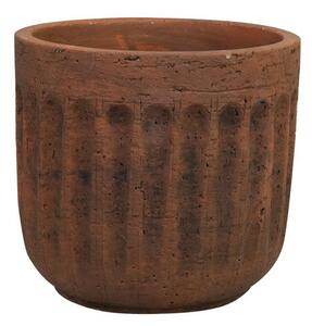 Ter Steege Obal Duncan rezavý D14 H13