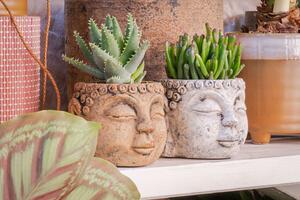 Ter Steege Obal Buddha cement D9 H7