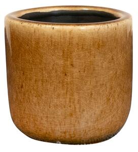Ter Steege Obal Nine caramel D7 H7