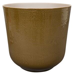 Ter Steege Obal Nouri savannah D25 H24