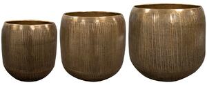 Ter Steege Set 3 Sabrien gold D40 H36