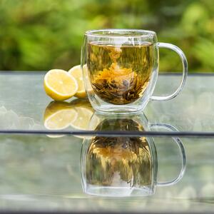 Termo sklenice Big Tea Hot&Cool, 480 ml, 1 ks