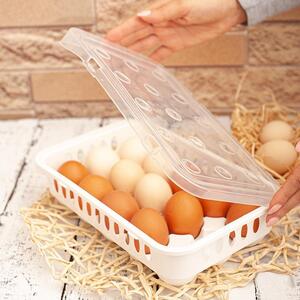 Arte Regal Úložný box na vajíčka/vejce, organizér na 15ks vajec, bílý WAPPA
