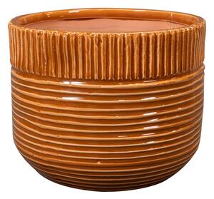 Ter Steege Obal Nona horizon D14 H13