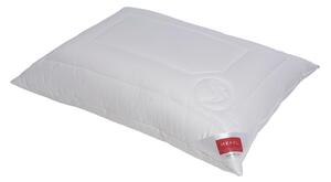 POLŠTÁŘ, 40/60 cm Hefel Textil - Polštáře pod hlavu
