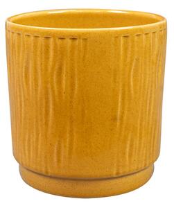 Ter Steege Obal Stella mustard D13 H14