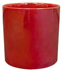 Ter Steege Obal Jille red D11 H11