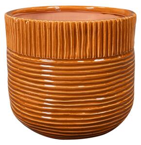 Ter Steege Obal Nona horizon D20 H18