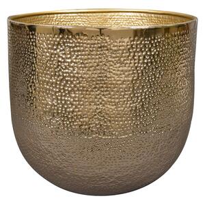 Ter Steege Obal Kristy gold D25 H24