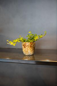 Ter Steege Obal Fern camouflage D7 H7