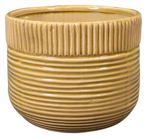 Ter Steege Obal Nona mustard D14 H13