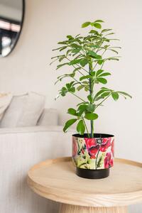 Ter Steege Sada 5 obalů Camelia poppy D22 H20