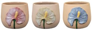 Ter Steege Obal Antura colour D8 H7, 3 druhy