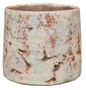 Ter Steege Obal Masha mint D12 H12