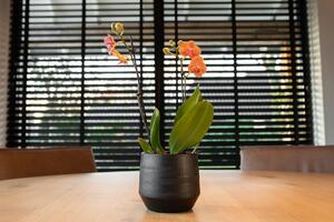 Ter Steege Obal Norell black D21 H20