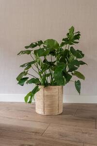 Ter Steege Sada 5 obalů Majen natural D36 H36