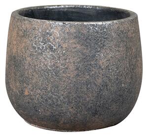Ter Steege Obal Jules earth D12 H9