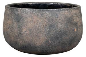 Ter Steege Obal Jules earth D21 H11