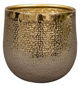 Ter Steege ObalKristy gold D7 H7