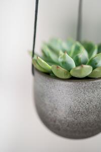 Ter Steege Závěsný obal Esra mystic grey D15 H13