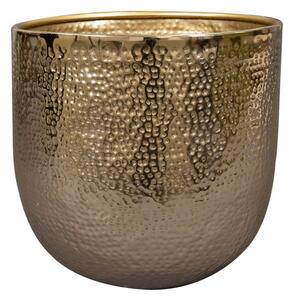 Ter Steege Obal Kristy gold D14 H14