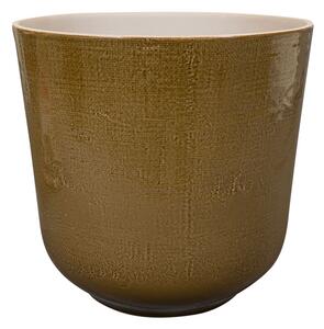 Ter Steege Obal Nouri savannah D17 H16