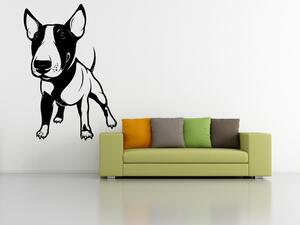 Bulteriér pes - Samolepka na zeď - 100x68cm