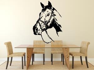 Kůň detail - Samolepka na zeď - 100x68cm