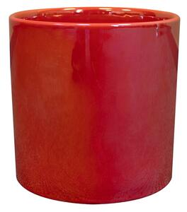 Ter Steege Obal Jille red D8 H8
