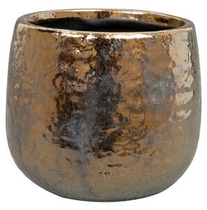 Ter Steege Obal Yvette gold D12 H11