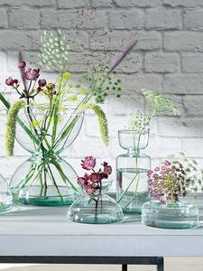 Váza/skleněný květináč, výška 10 cm, čirý - LSA International