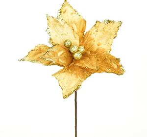 Vánoční květina Ponsettie třpytivá, 25 x 30 cm, šampaň