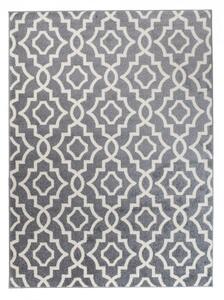 Kusový koberec Fedion šedý 120x170cm