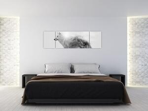 Obraz - Arktický vlk zrcadlící divokou krajinu, černobílý (170x50 cm)