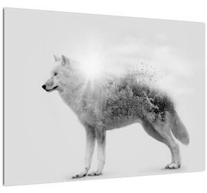 Obraz - Arktický vlk zrcadlící divokou krajinu, černobílý (70x50 cm)