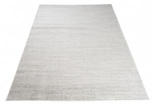 Kusový koberec Remon světle šedý 300x400cm
