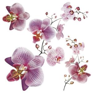 Samolepicí dekorace Orchids, 30 x 30 cm