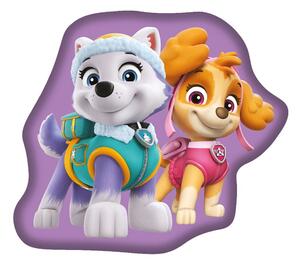 Fleecový dětský polštářek Paw Patrol – Jerry Fabrics