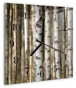 Skleněné hodiny na stěnu Břízy zskc-30x30-00177325