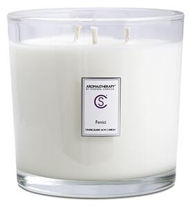 Masážní vonná sójová svíčka Fenici (citrus, ambra), 1000 ml