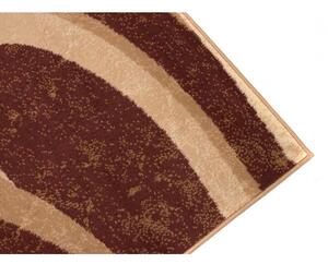 Kusový koberec PP Zoe hnědý 200x300cm