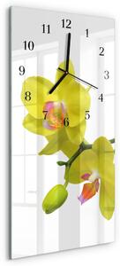 Skleněné hodiny vertikální Orchidej zsppc-30x60-00180883