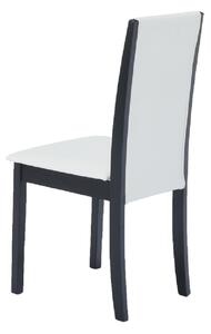 Židle, wenge / ekokůže bílá, VENIS NEW