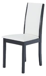 TEMPO Židle, wenge / ekokůže bílá, VENIS NEW