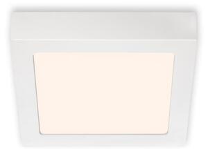 Briloner 7123-016 - LED Stropní svítidlo FIRE LED/12W/230V 3000K 17x17 cm bílá