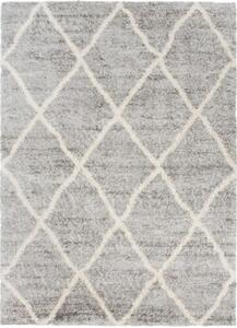 Kusový koberec shaggy Mirza šedý 120x170cm
